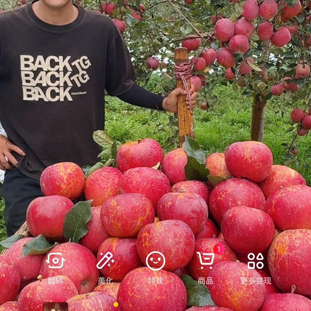 月亮姐姐1