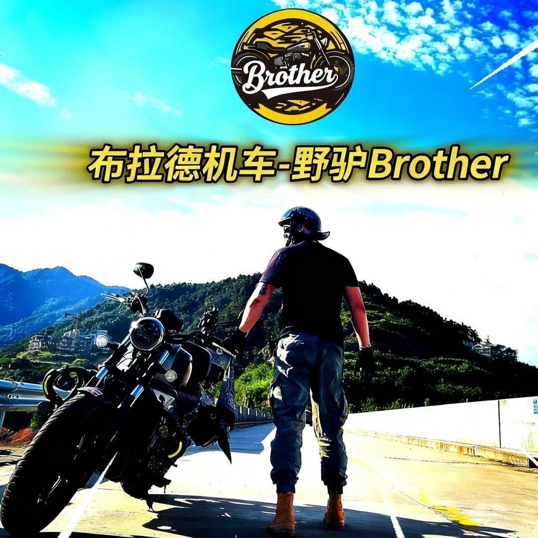 布拉德机车-野驴Brother