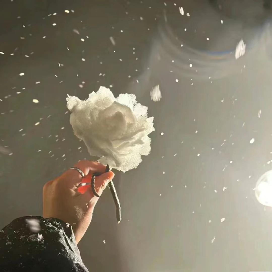 ✨