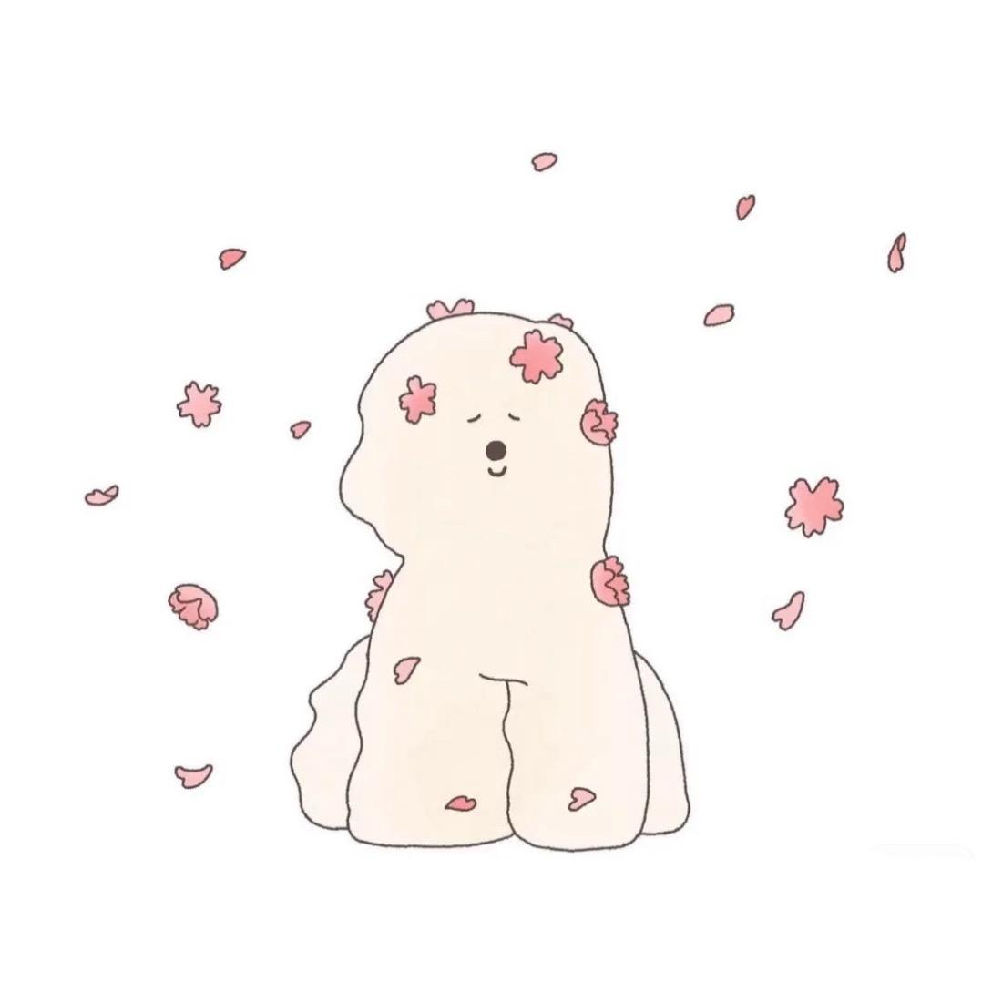 糕冷小美