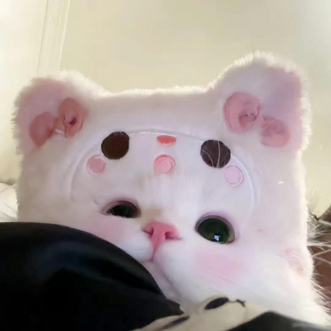 喵喵女王陛下
