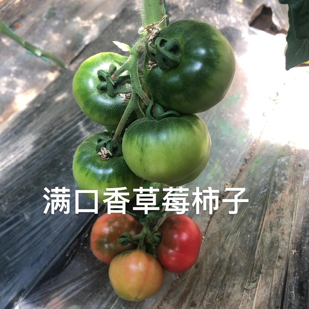 寿光唯农种业有限公司