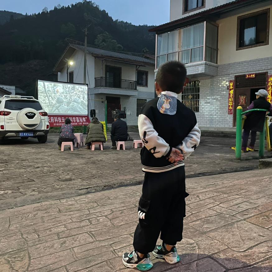 一只小绵羊