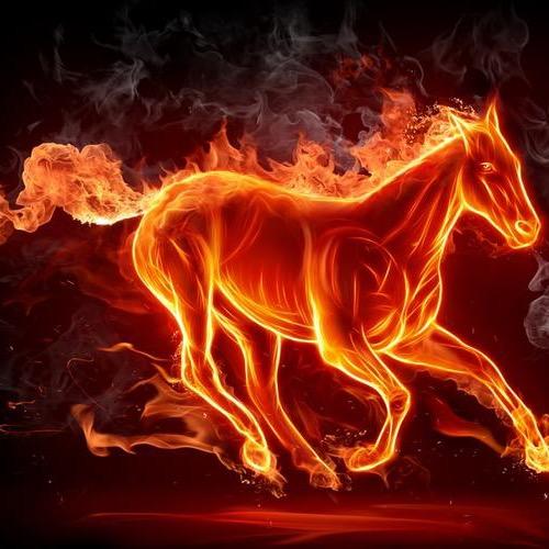 不会听歌的修理工🏍️🚗🛻不是老司机