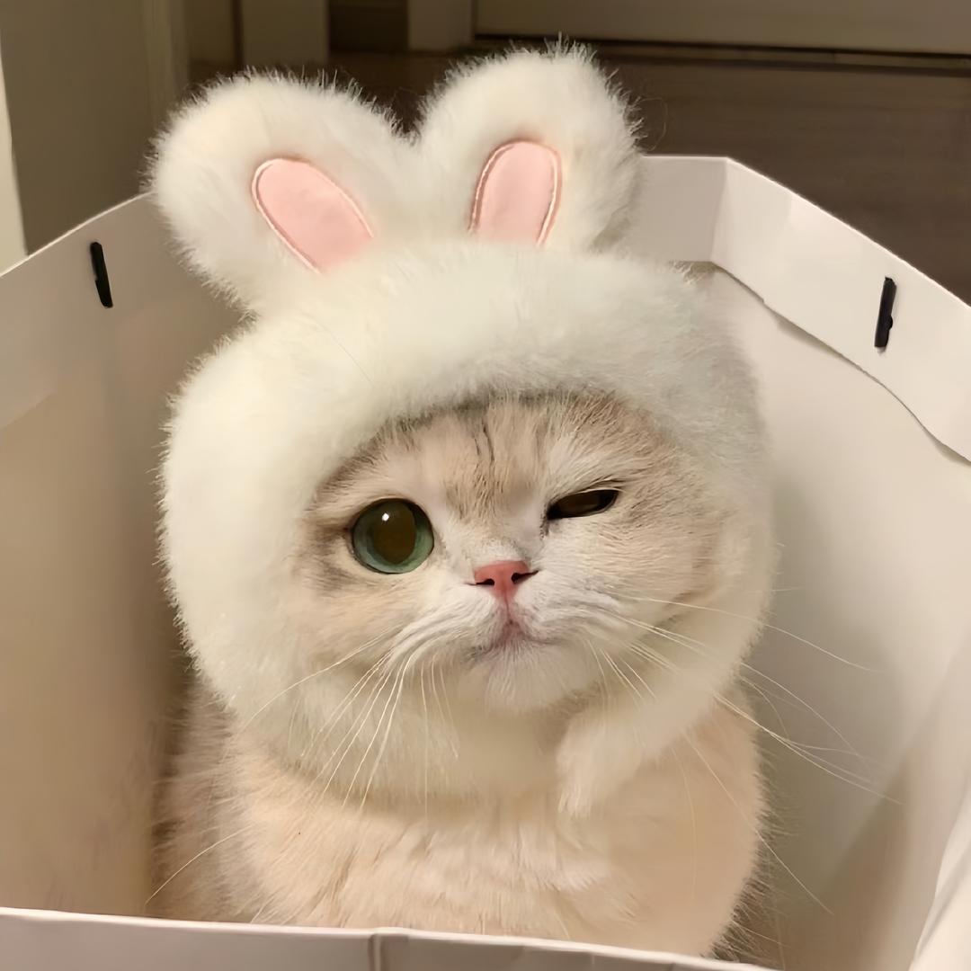 𝘾𝙡𝒊𝑻𝒂𝒖𝒔.✨
