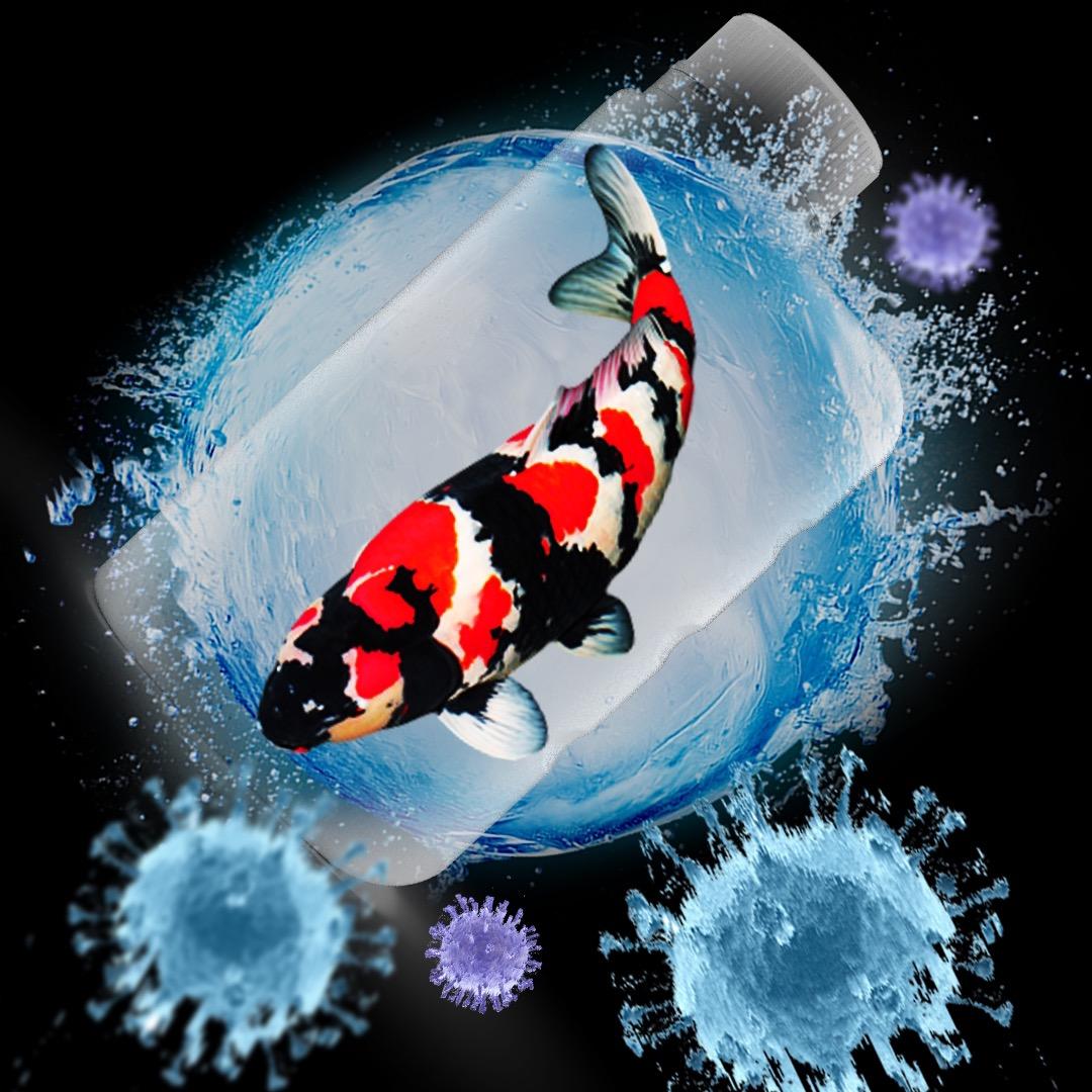 鱼儿水族器材