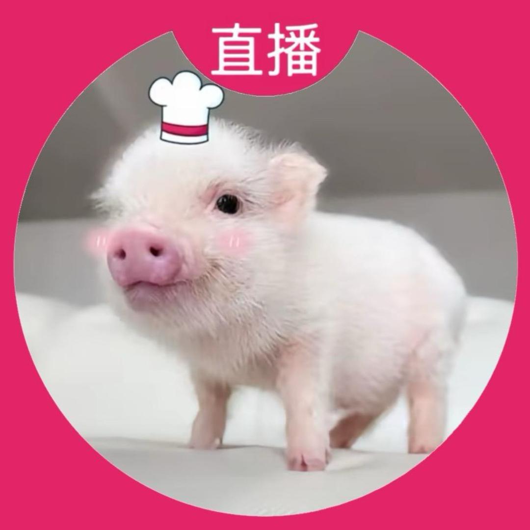 ꉂ  • ༚ • ིྀต੭