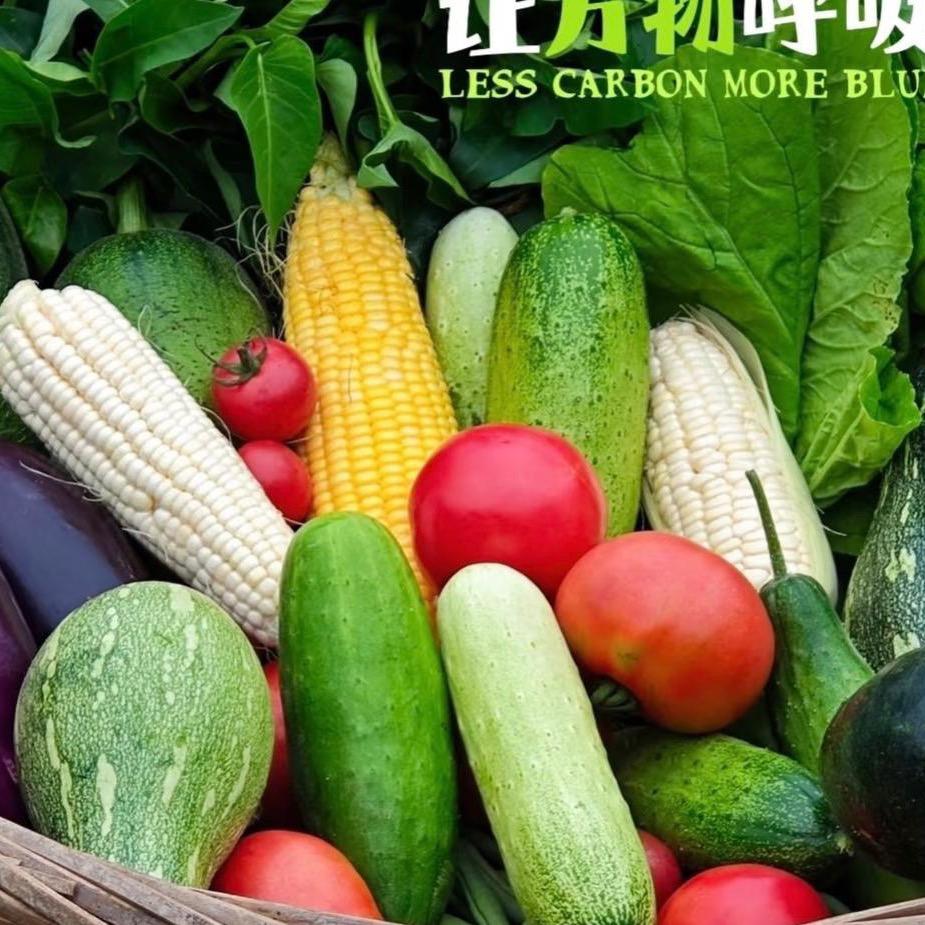 农佳生活坊（海燕）