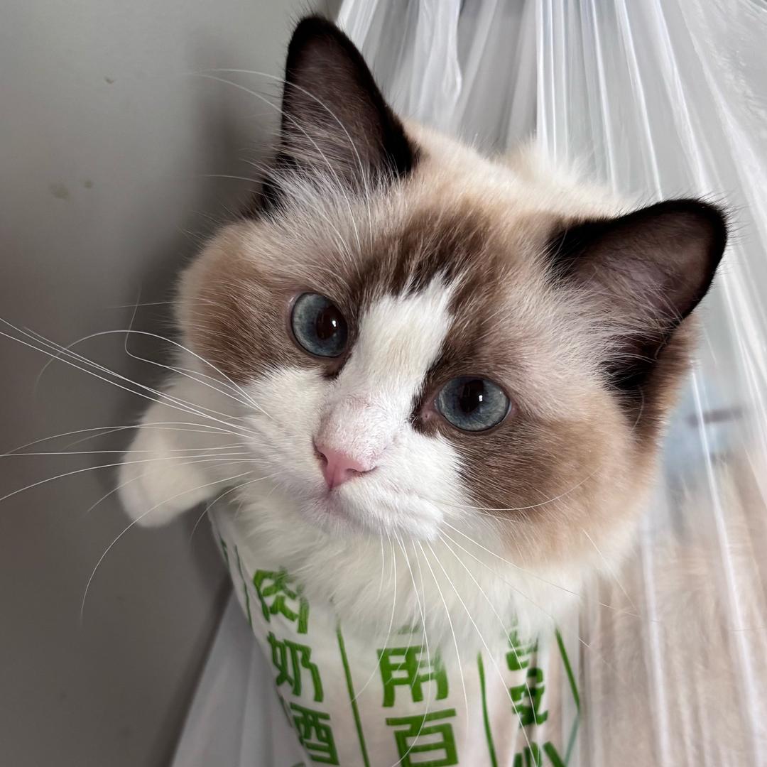 想要暴富陈女士