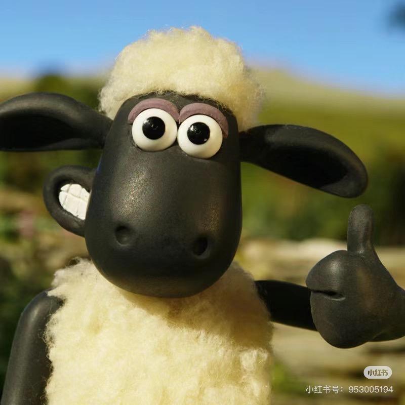 肖恩🐑