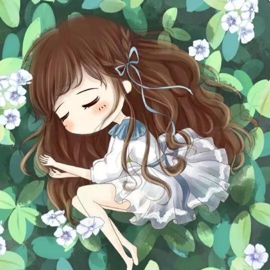 洋芋💐