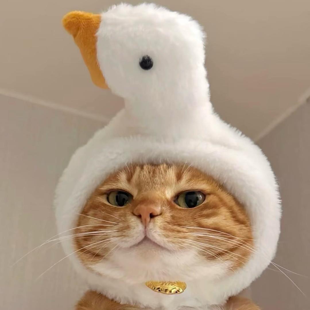 六月的哈尼。⁰⁴⁵¹