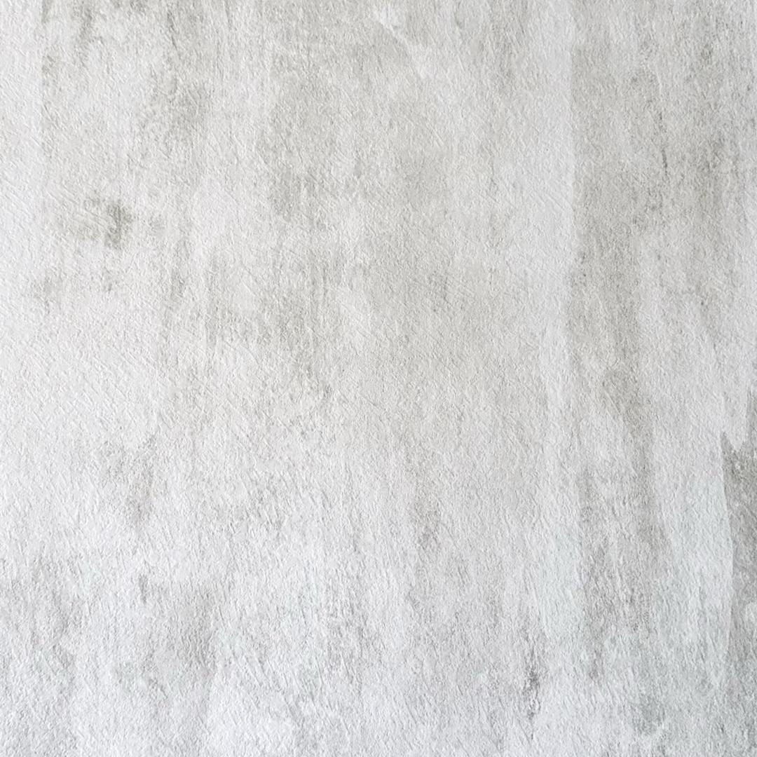 小金宝宝
