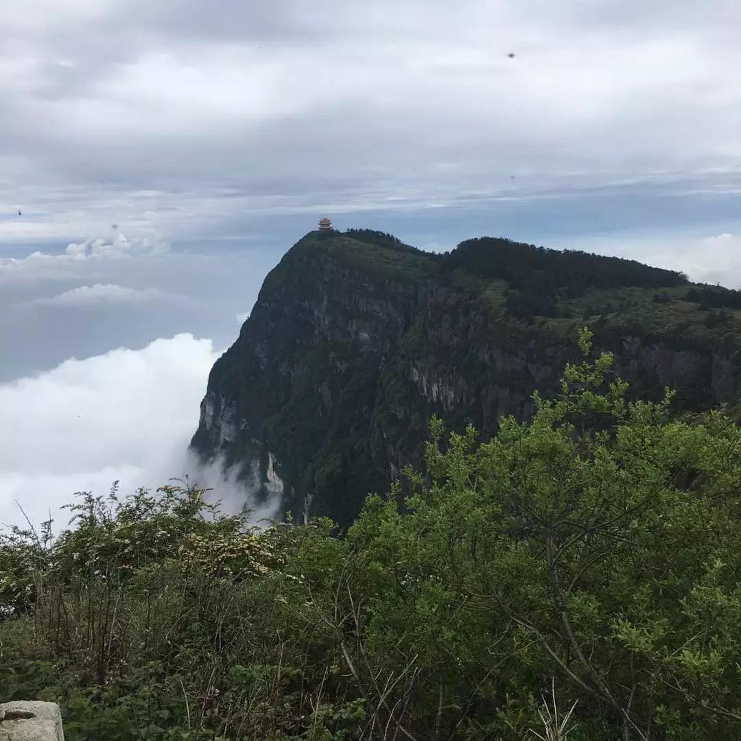 乘锋