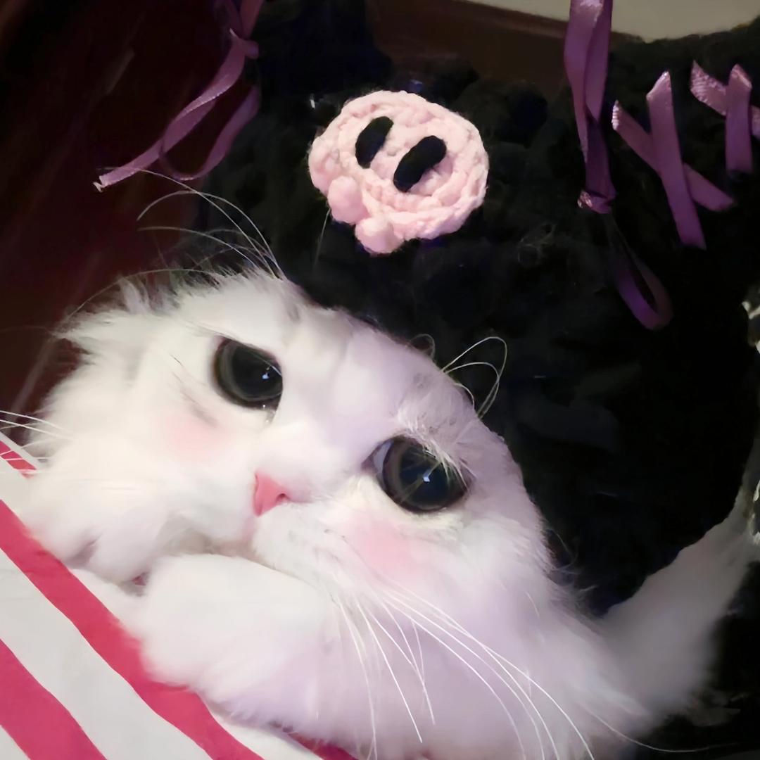 小九.