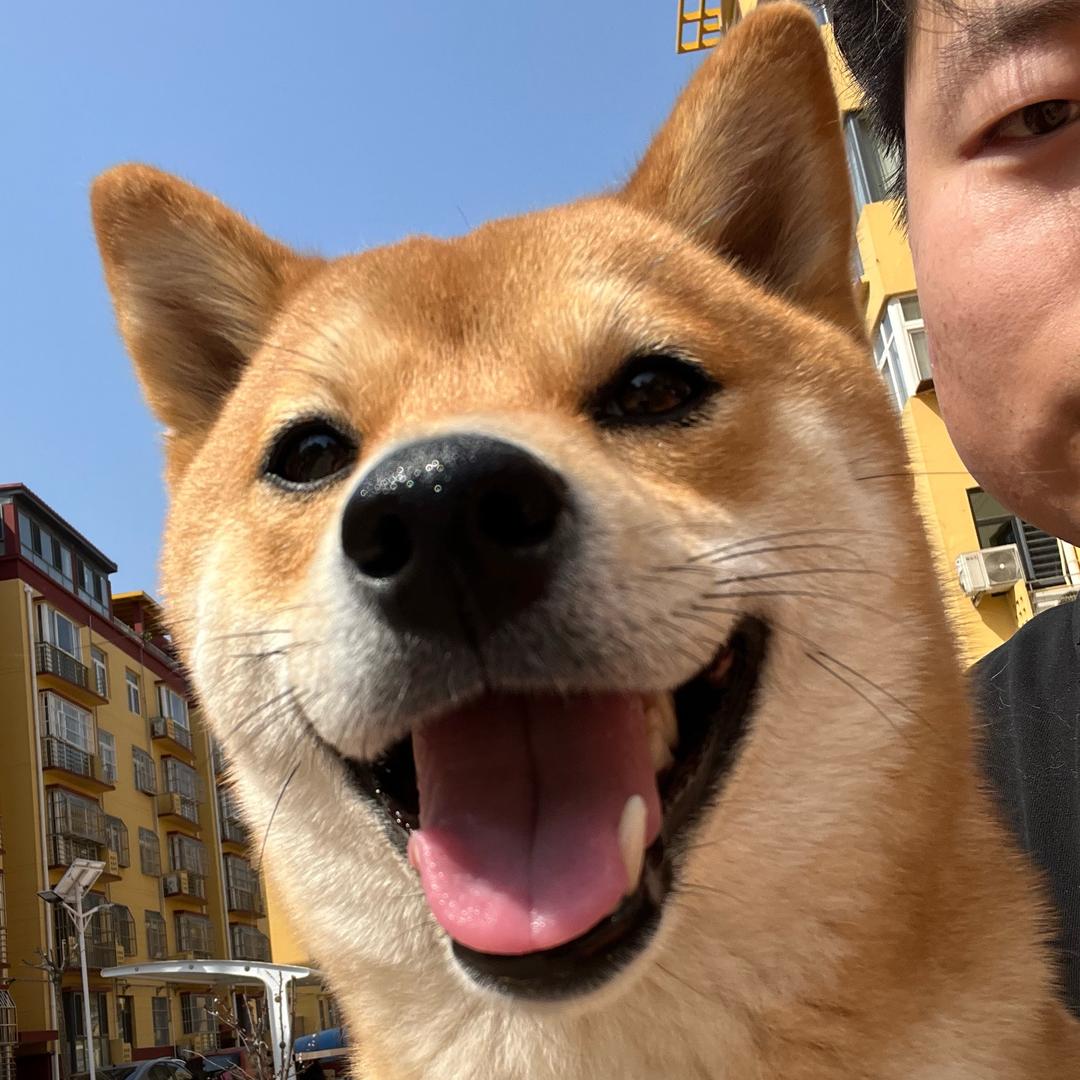 阿金（阿豆自律版）