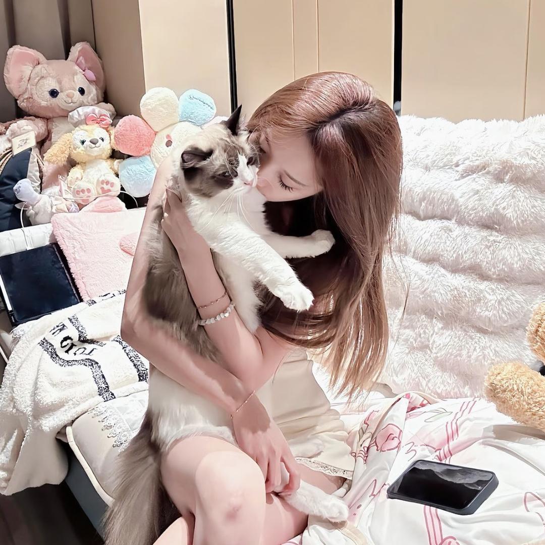 猫妍妍🐱