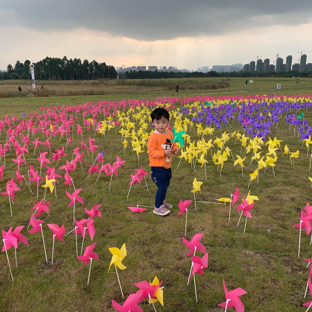 建哥哥（有关必回）