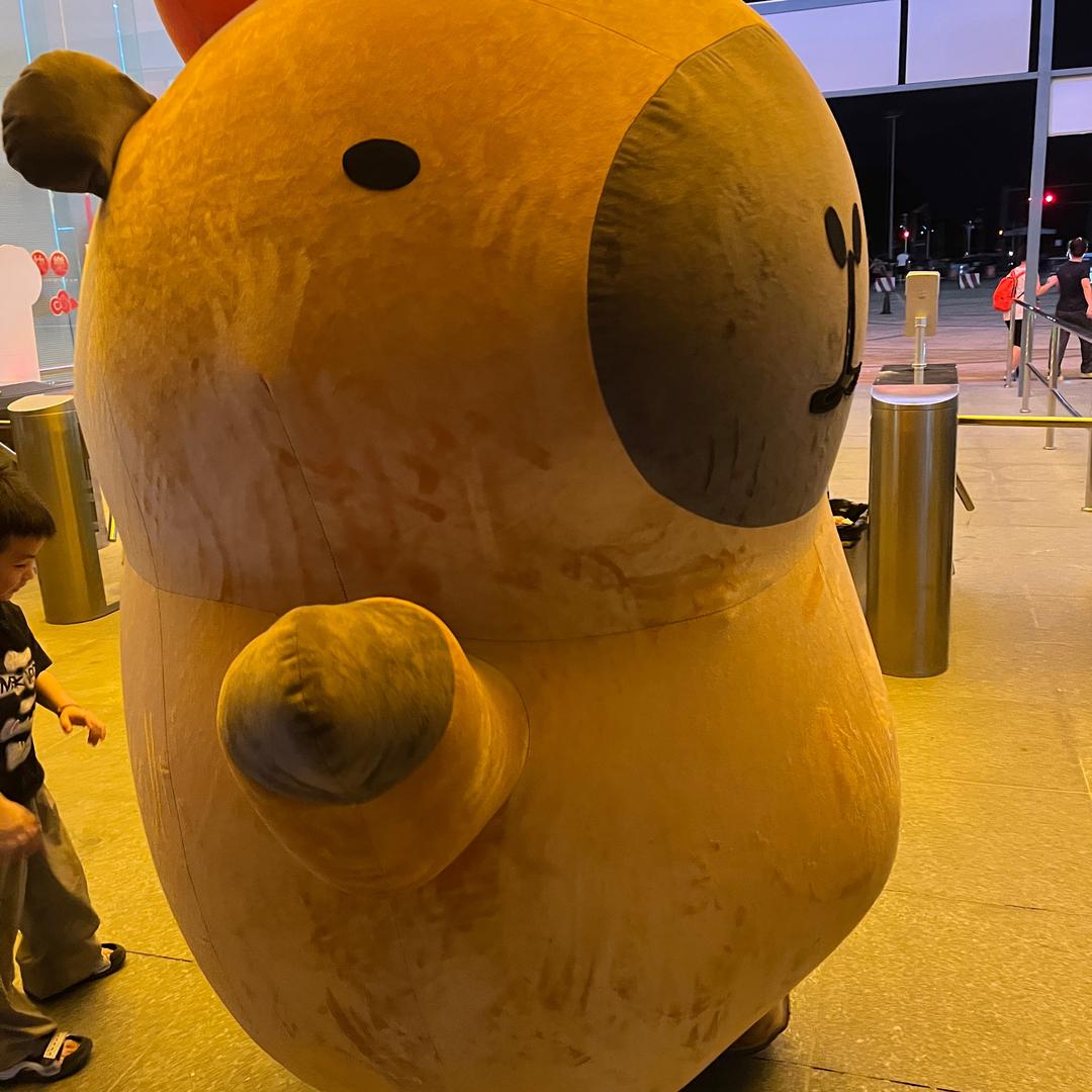 潮阳棉城一禅养生文化