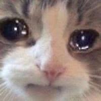 饱了