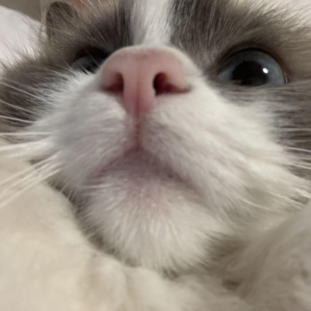 today凯耶斯台球