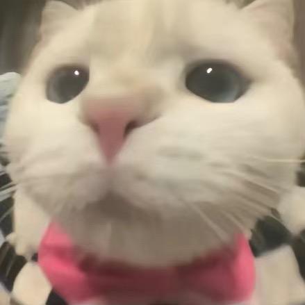 魏晋遗风