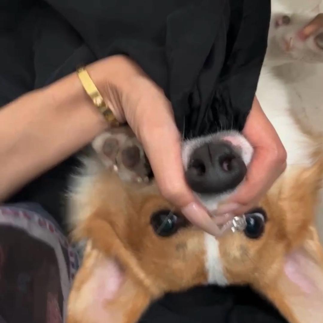 𝗱𝘂𝗮𝗻𝗴𝗱𝘂𝗮𝗻𝗴