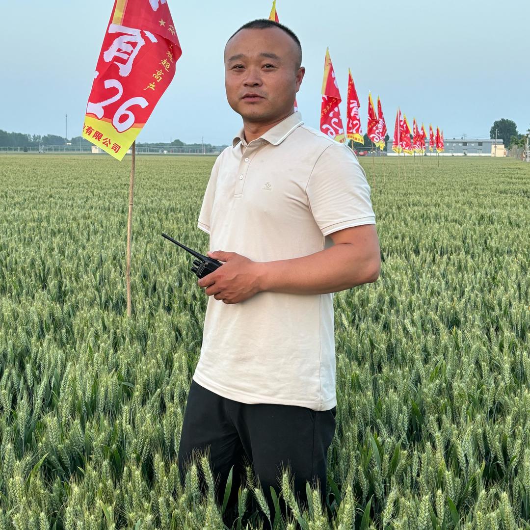 河南聚冠种业—杨帅锋