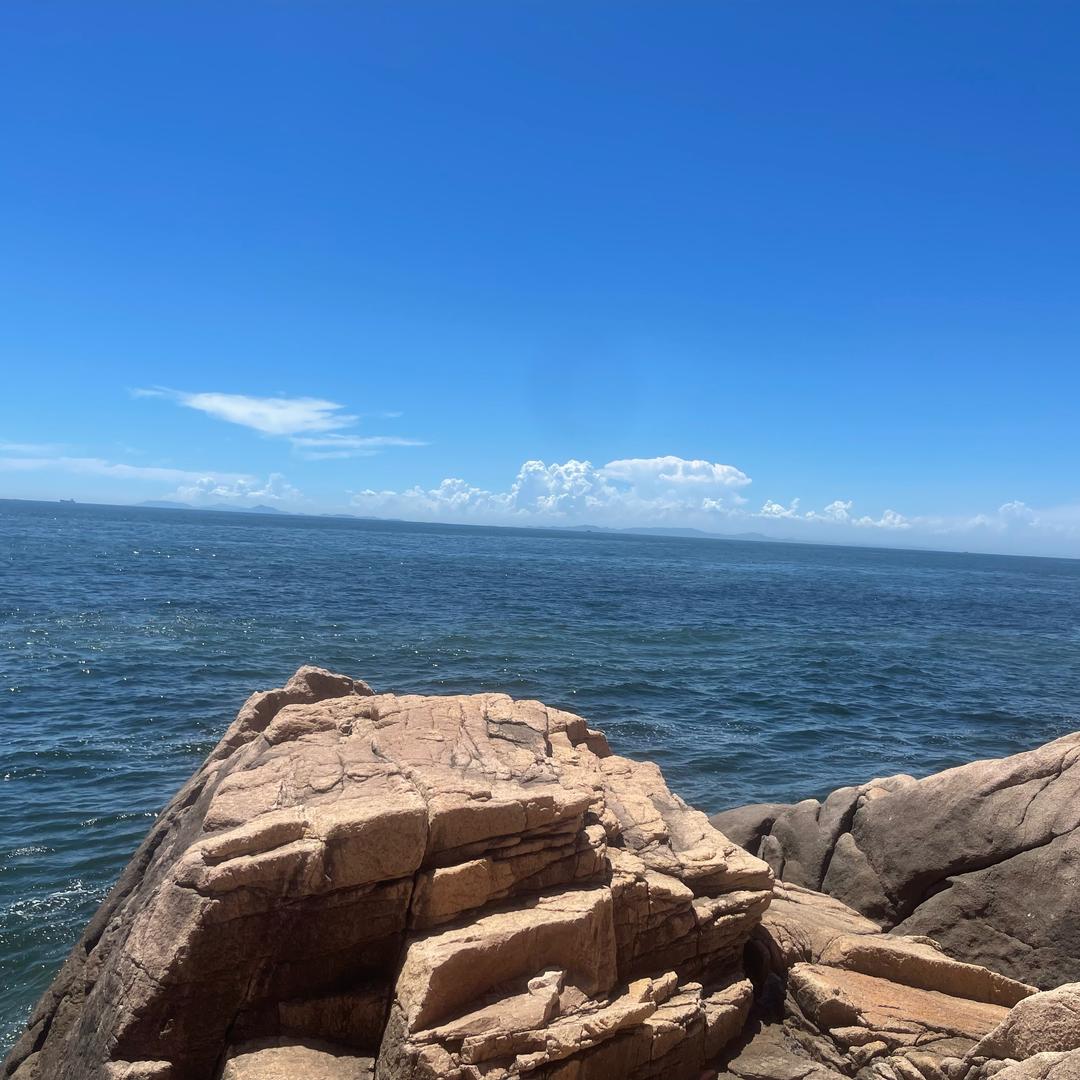 飛鸉大海