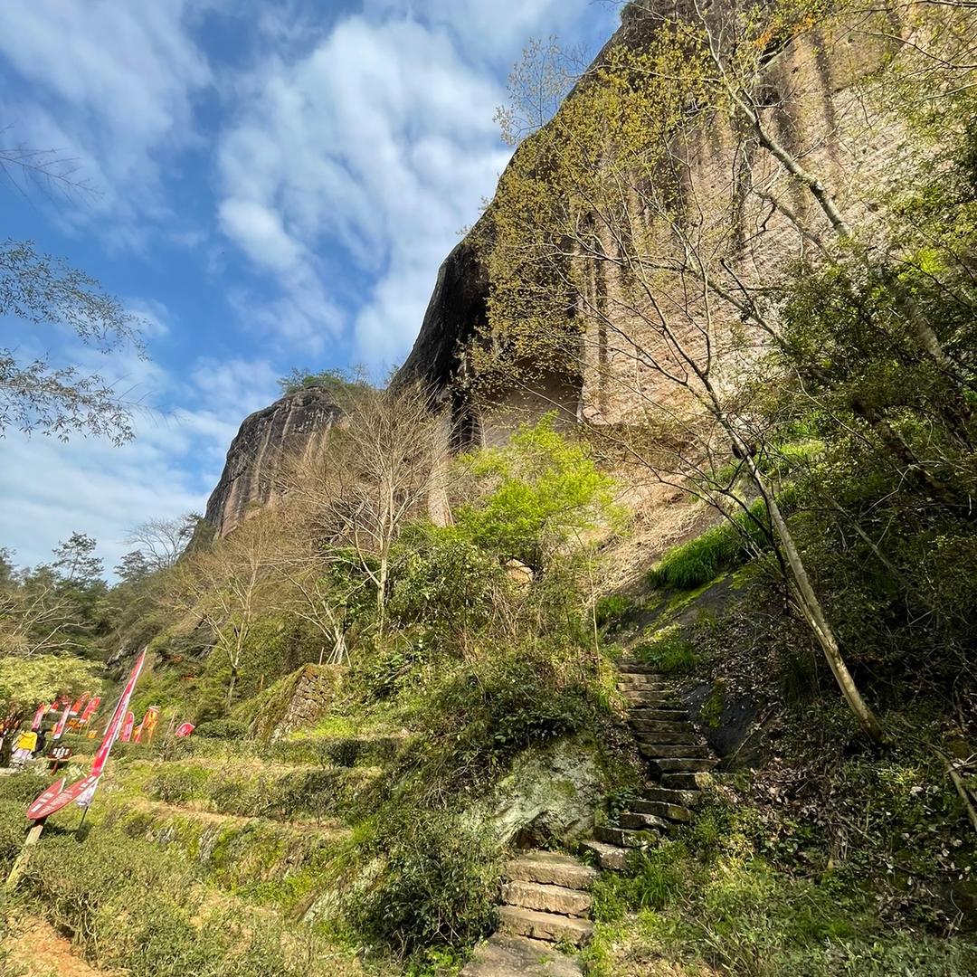 武夷山市古城号茶庄