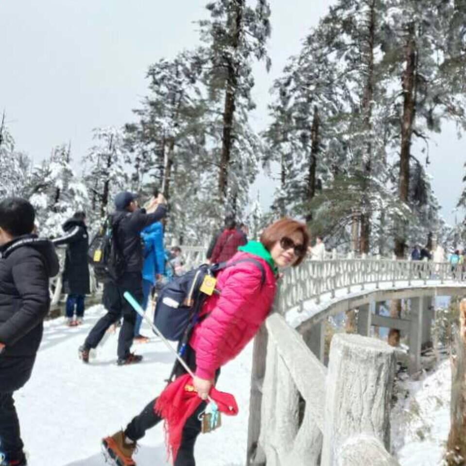jzf三妹