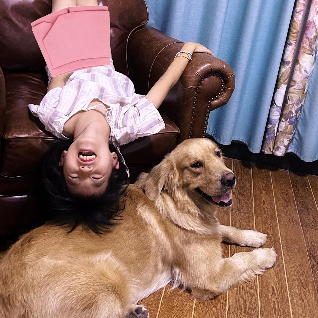 罗小球是只小金毛