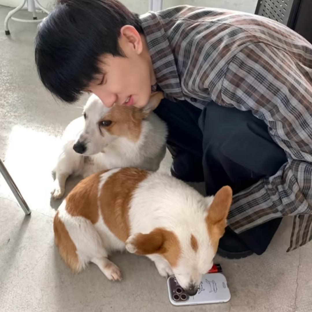从你的门前经过
