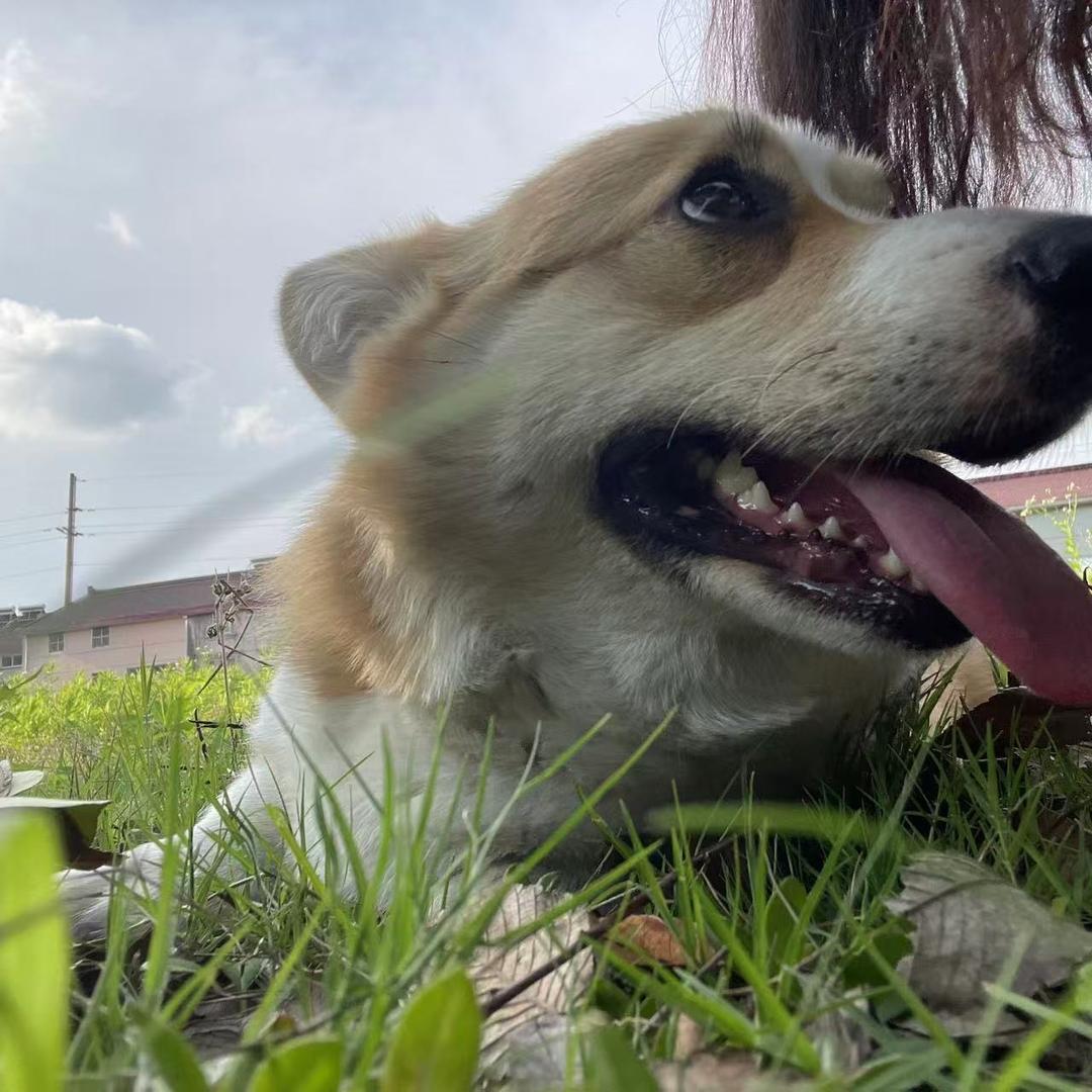 别压我的腿毛🦿