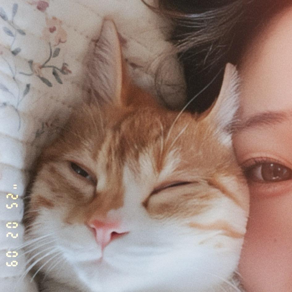 🐈六两的橘子🍊