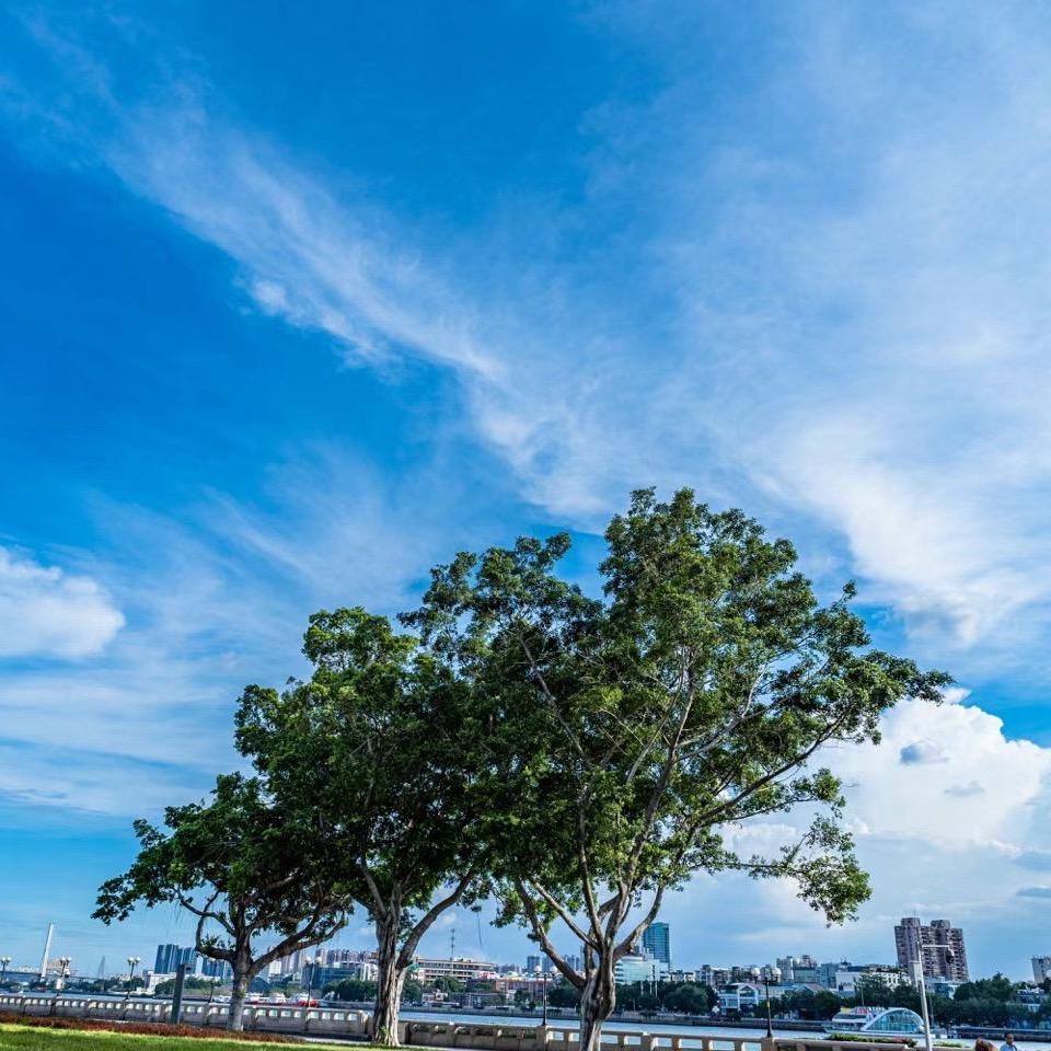 美漂牛马挣刀乐