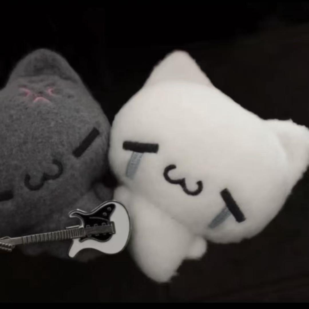 我不叫小文