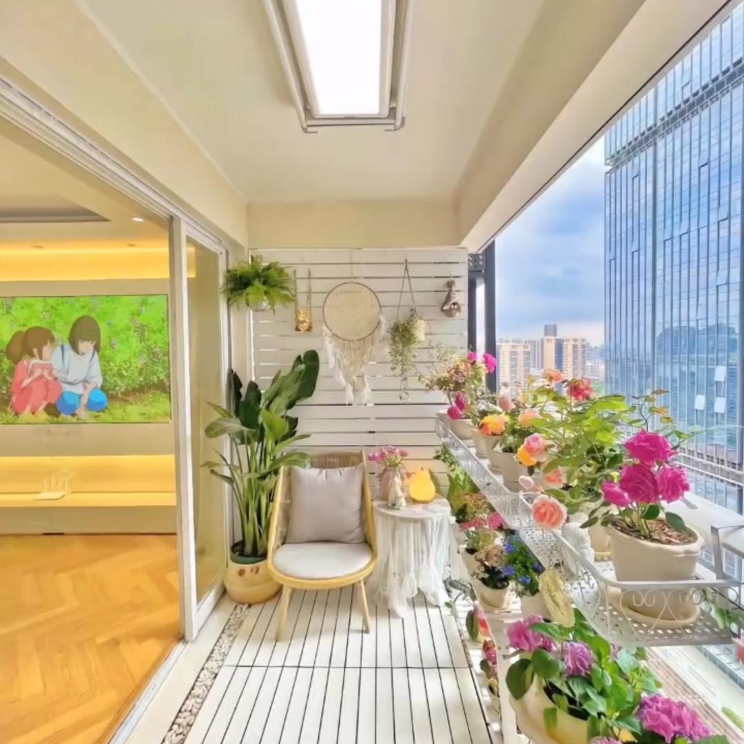 小迪的家🏠