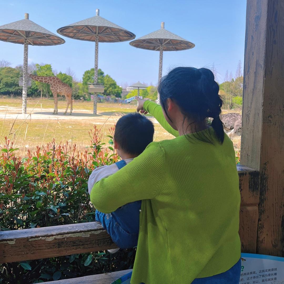朱小妮