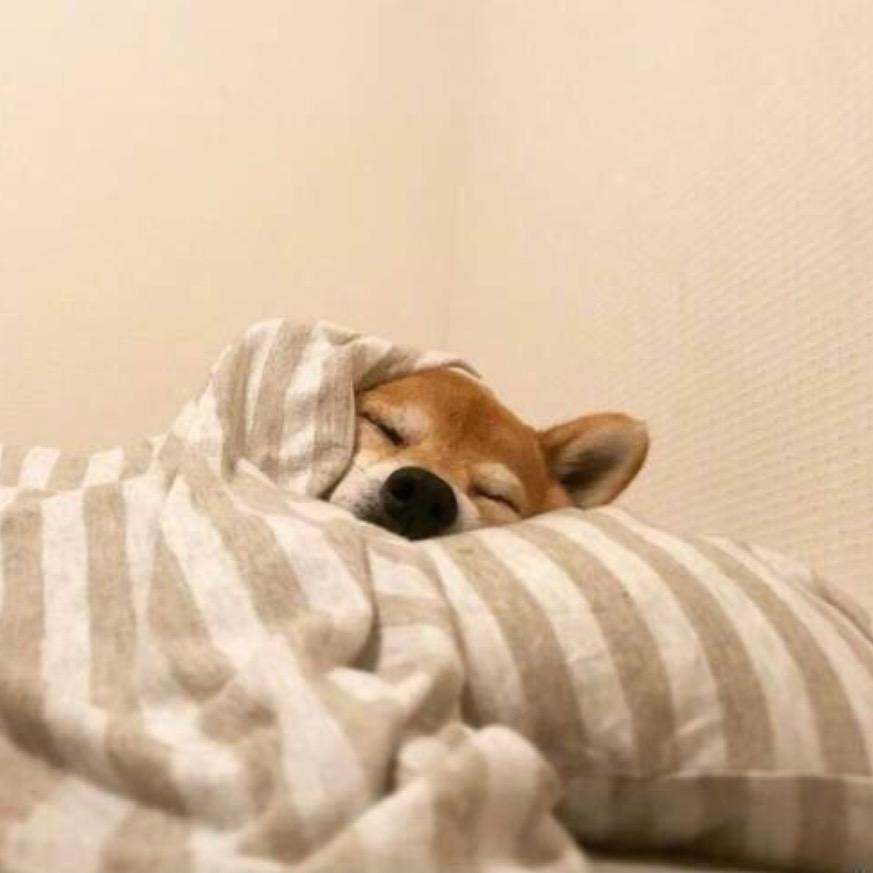 suho🍚🍚🍚🍚🍚🍚