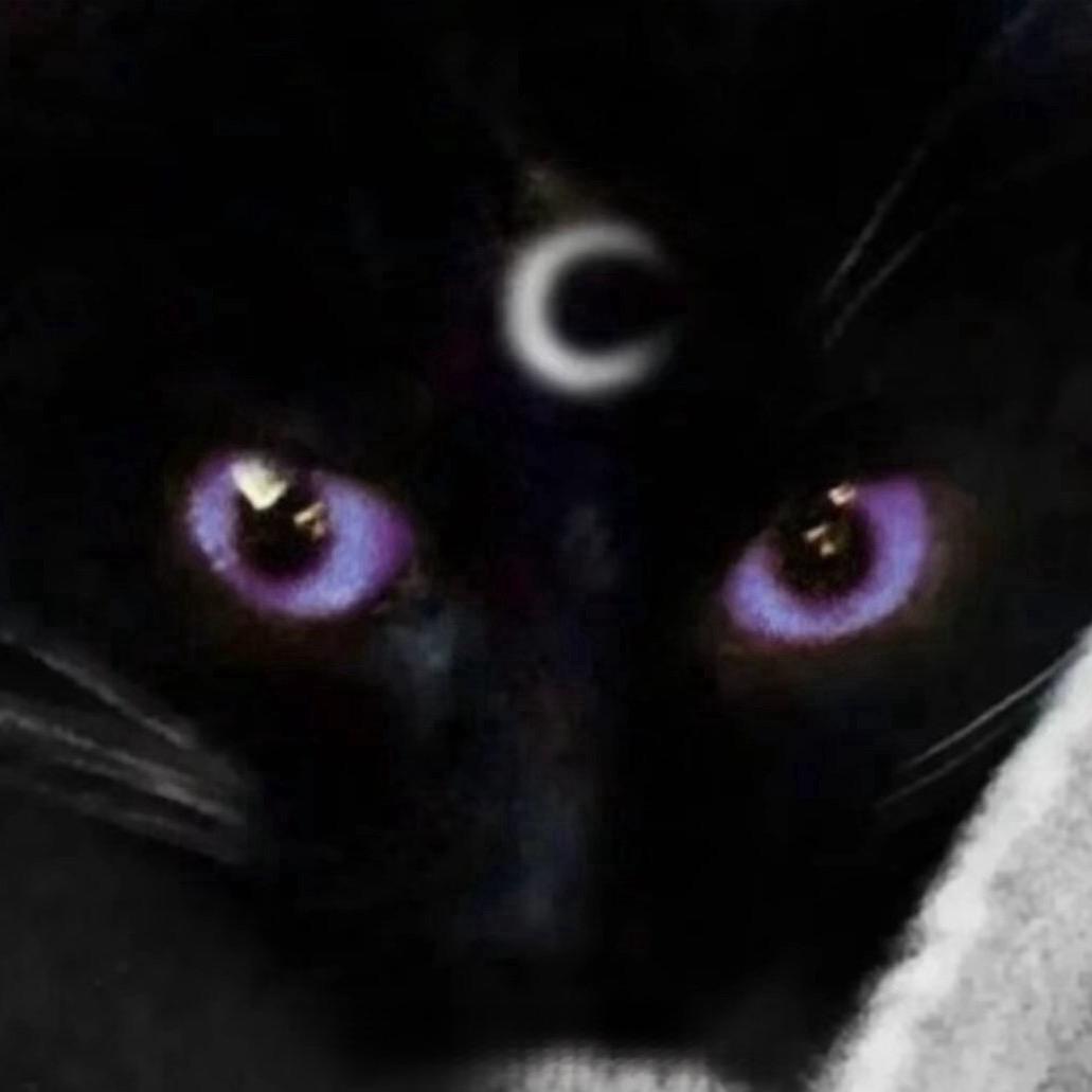 老公死后偷吃他的骨灰