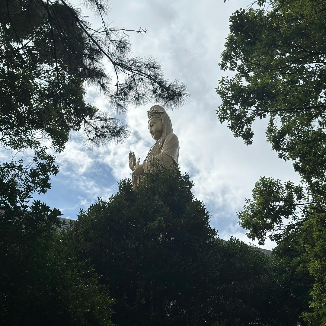 A   乔杰
