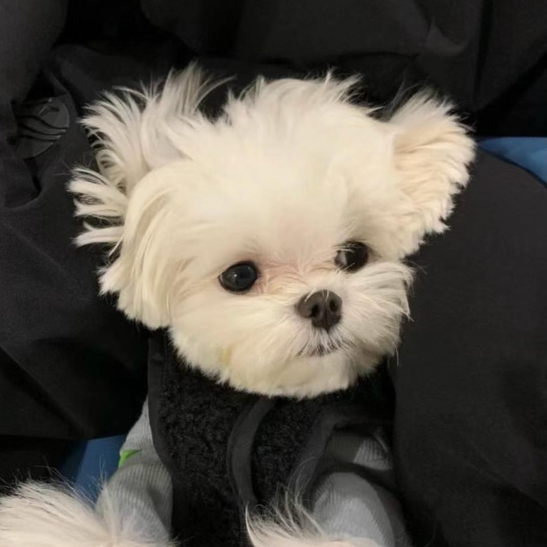 记得按时7饭: ）