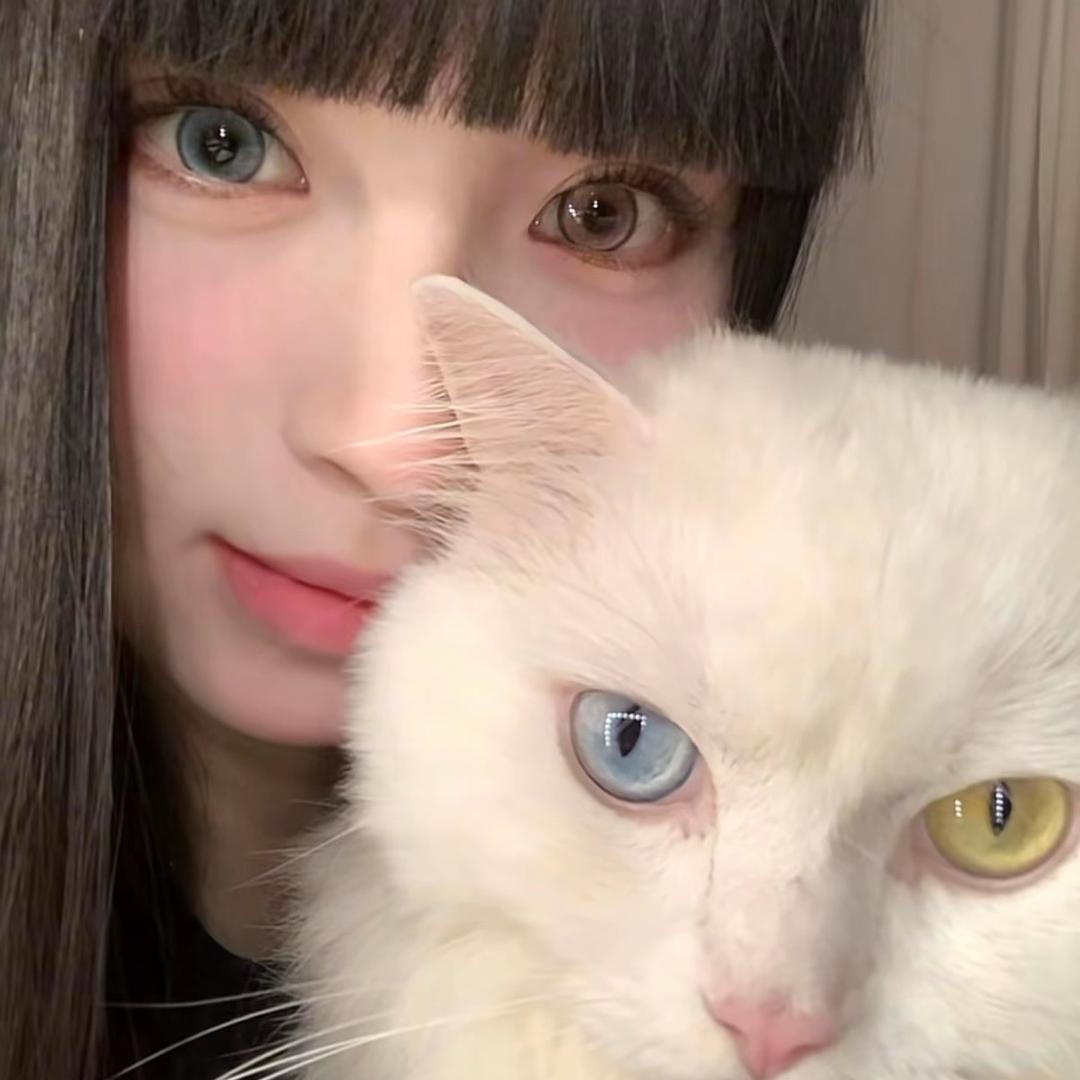 𝘼𝙜𝙤𝙣𝙡𝙚