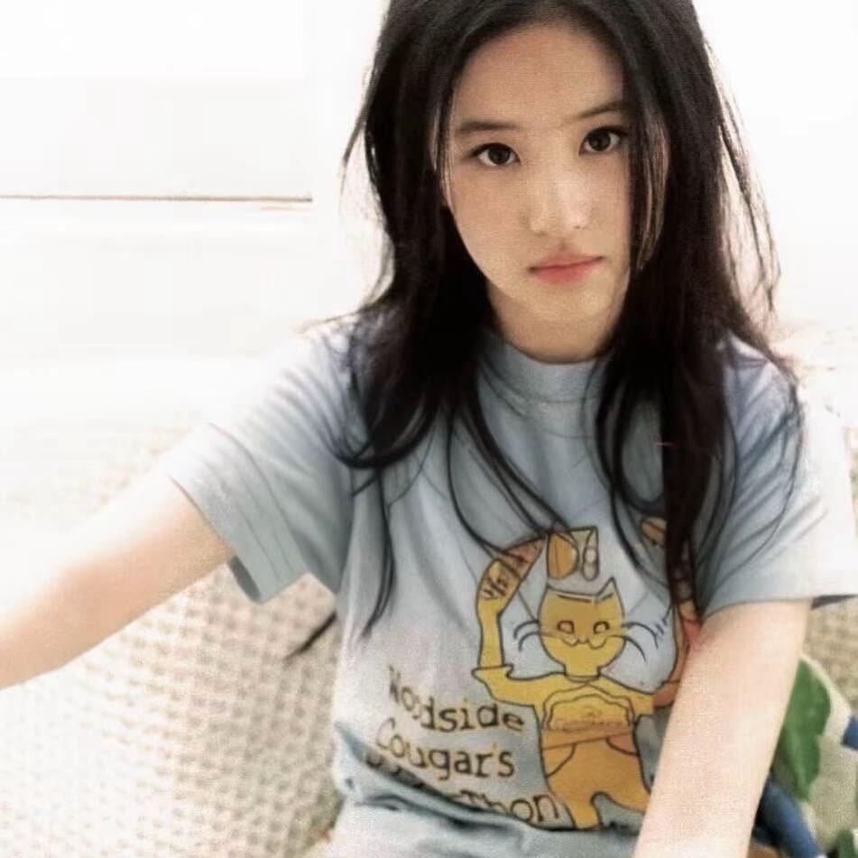 忽忽是一只小猪