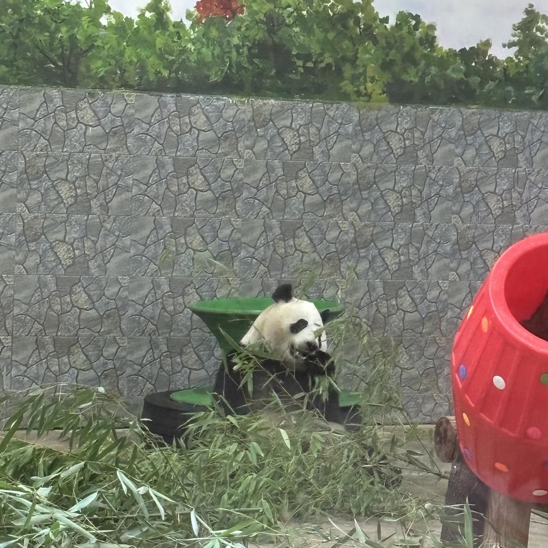 鸟姐燕窝滋补行