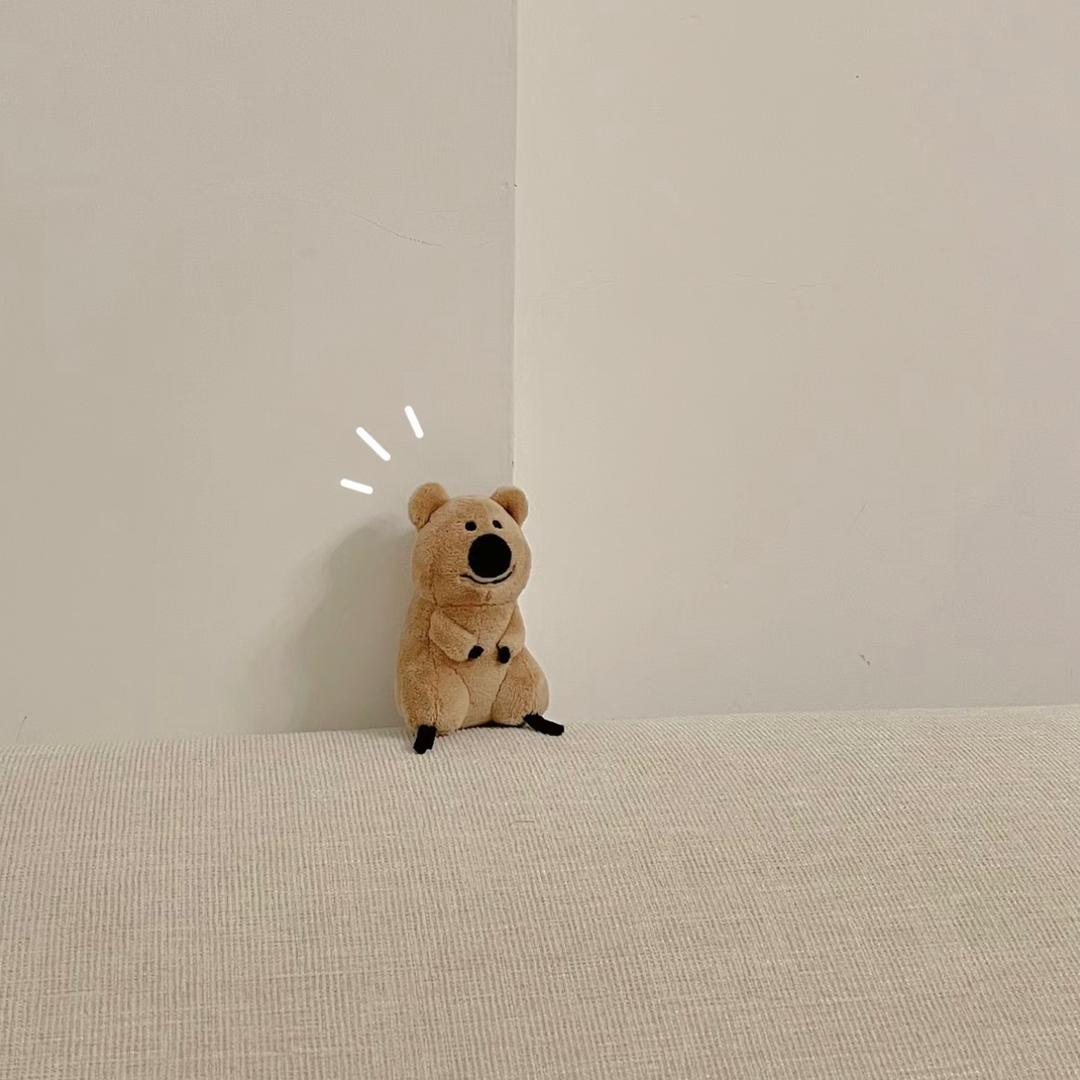 炭烤肥🐑.