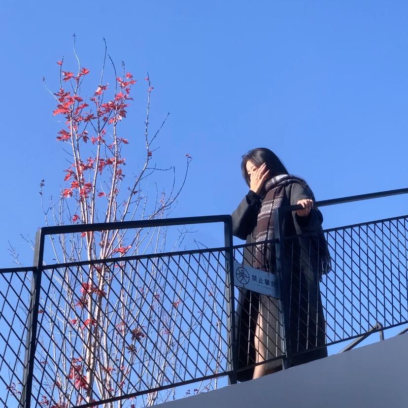 蓓蓓.