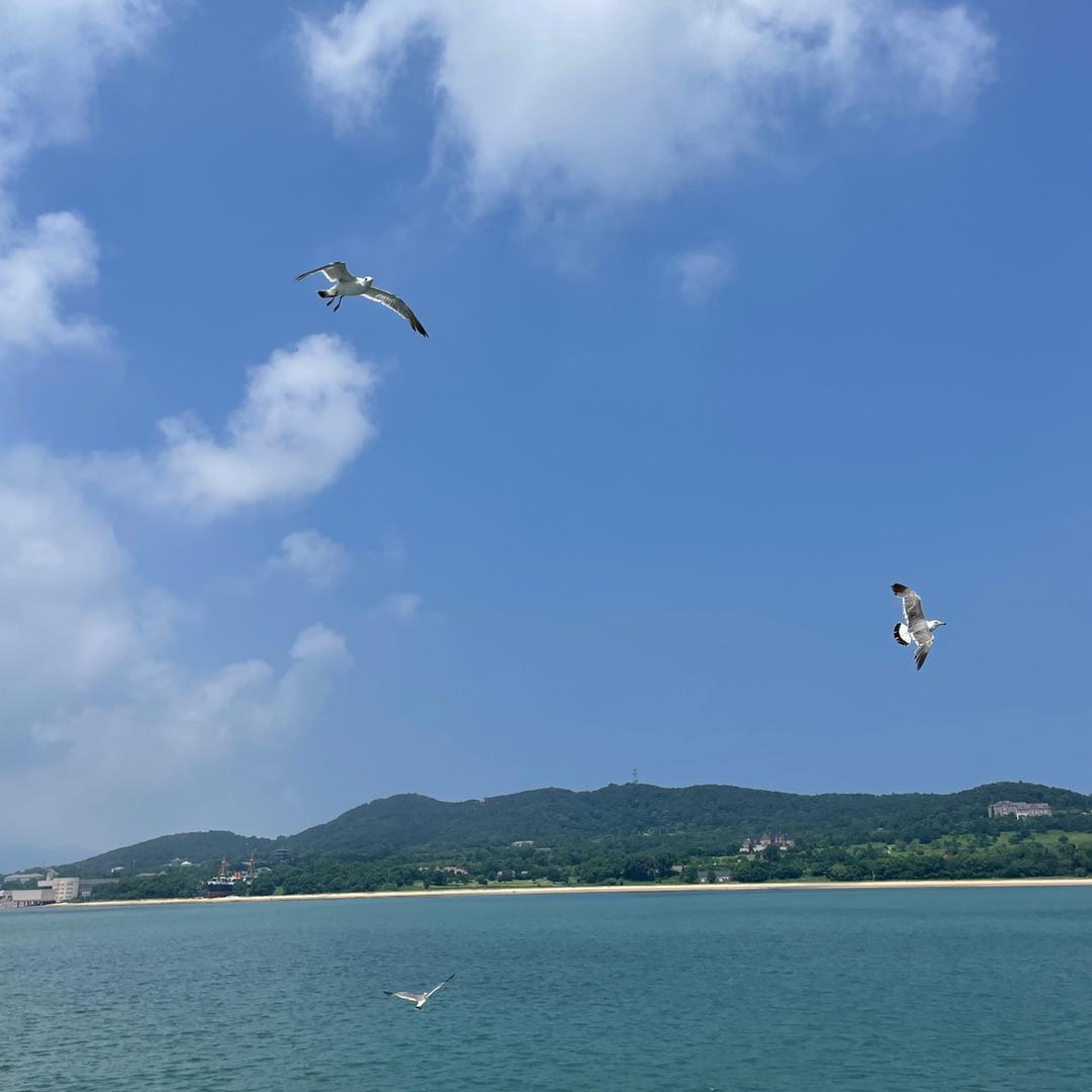 哈哈小宝贝