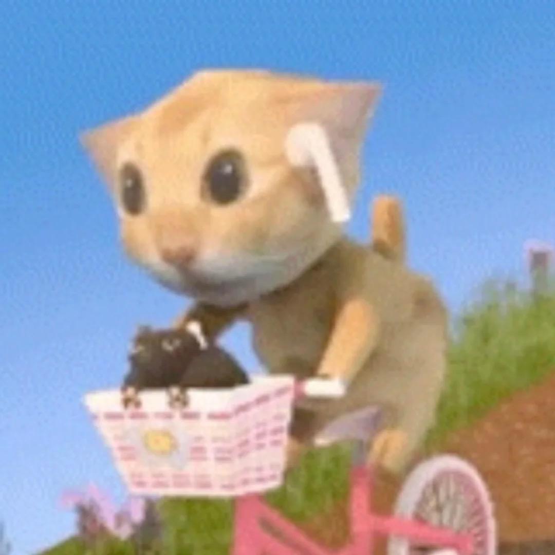 ❤️糊糊喵喵拳～